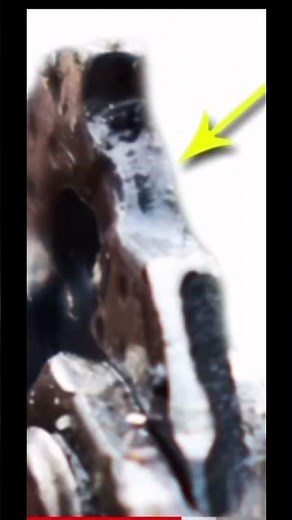 Chainsaw Pitch, Gauge & Drive links Explained!