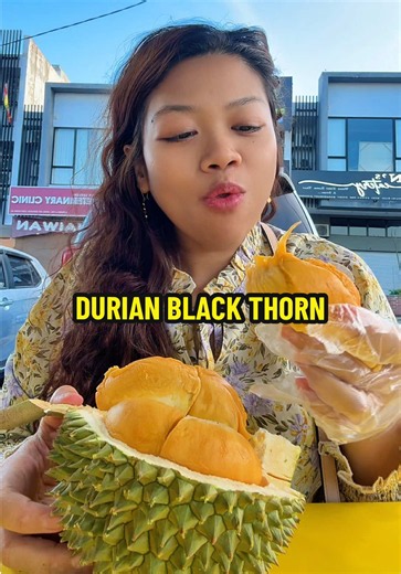 Black Thorn Durian: What to Expect When Trying Durian Black Thorn
