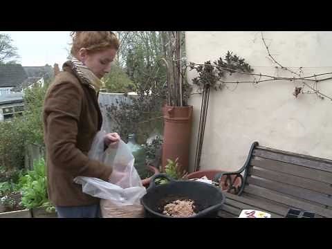 Alys Fowler: Planting seeds and growing vegetables