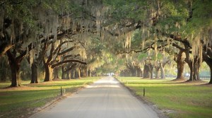 587 reactions · 71 shares | Historic...Stunning...Epic...Boone Hall Plantation. | Boone Hall Plantation | Facebook