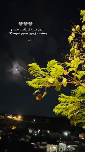 ‏#تصويري📸 #قباطية #ابو_رجا🖤 #قباطية_اسم_لن_يكرره_التاريخ🦅
