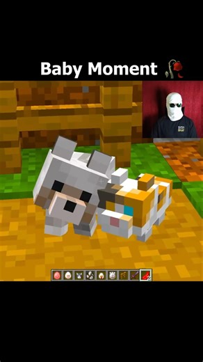 Minecraft Cute Moment #minecraft