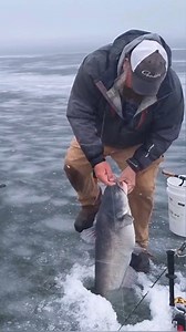 47K views · 255 reactions | Best icefishing compilation!! #epic #icefishing #catfishing #jasonsfishguides #jasonhyman #captainredbeard #legend #fishing | Jason Hyman | Facebook