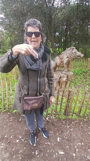 Épeler S-A-N-G-L-I-E-R en LSF (Dactylologie au parc 🐗🌲)