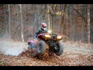 2025 Honda Rubicon 700