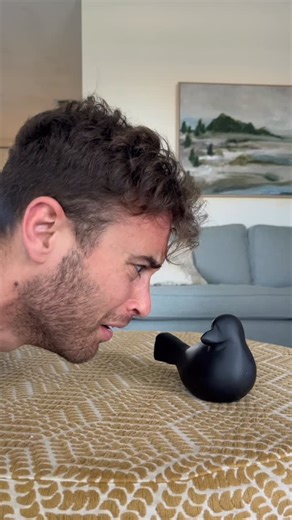 Mr. Lucas on Instagram: "These little birdies can’t be trusted… ZOOM TO THE MOON IS OUT EVERYWHERE! Go watch the music video on YouTube #kidsvideos"