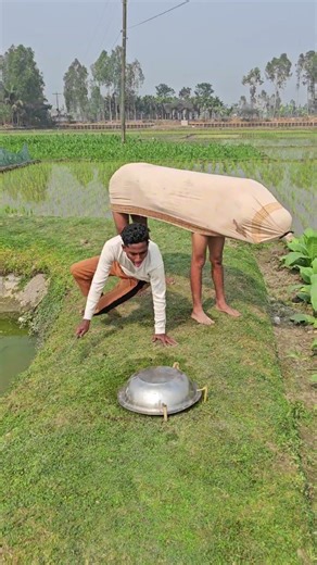 The cow was running towards the man.