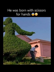 Edward Scissorhands: A Fairy Tale of Innocence and Rejection