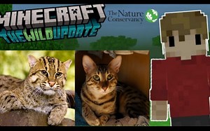 [熟/Grian]和鳕鱼一起学习猫猫知识！