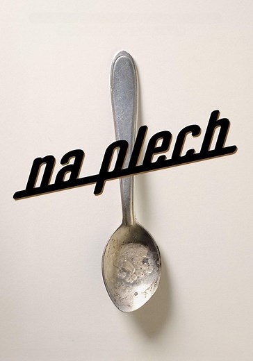 Sledování titulu Na plech: kde sledovat film online?
