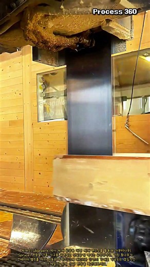 대형 제재소 밴드쏘 가문비나무 원목 제재 공정 #worker #process #sawmill #woodworking #industrial
