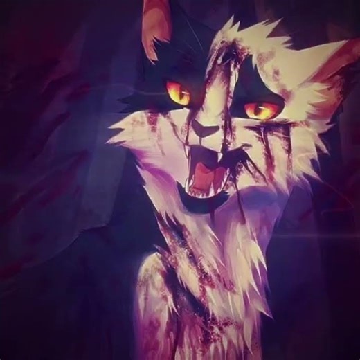 nuage agile ! 🖤🤍