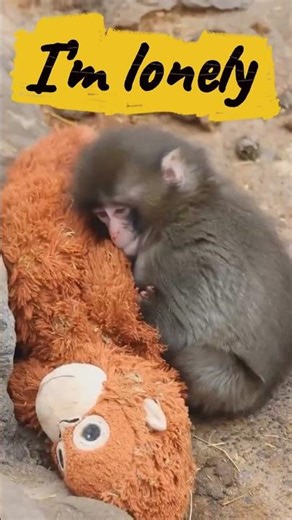 Punch🦧#viral #trending #ytshorts#reels #youtubeshorts #shorts #mom #dailyvlog #vlog #fyp #love #yt