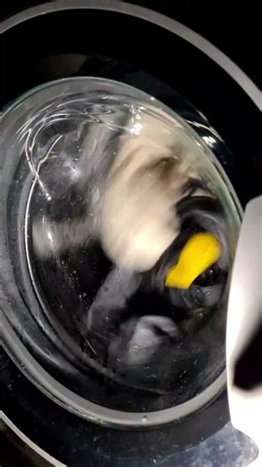 Hotpoint NSWR843C Full Load 45 Min Wash