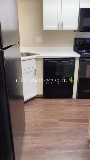 1 Bed / 1 Bath Apartment Tour in Tucson - Move In Ready!
