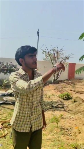 k. brahamanapalli zphs school prathista