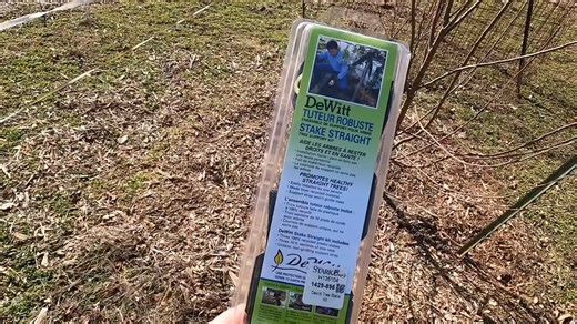1.4K views · 31 reactions | If you've got a tree that's a bit on the lean, there's a solution!  The Dewitt Stake Straight Tree Support Kit is a popular product designed to provide support and stability to young trees. It is an easy-to-use, cost-effective solution that can help prevent damage to trees caused by wind, heavy rain, or other environmental factors and it can be used to slowly straighten out young trees. | Stark Bro's Nurseries | Facebook