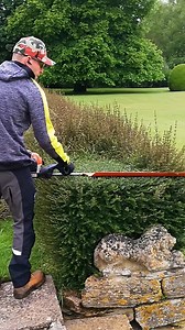 21K views · 473 reactions | Overgrown SQUARE Hedge Trimming | Lawn Care Reel | Facebook