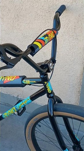 This 29er Dyno Pro Compe Team Model is one of my favorite 29 inch BMX bikes.