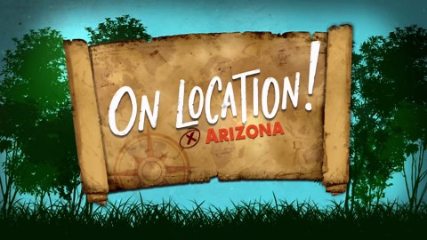 Desert hazards: The cholla cactus