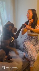 King Diezel‼️ | Alpha Z Hoggz