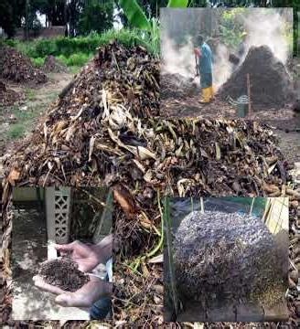 Fabrication et utilisation du compost #agriculture #nature #ecoledejardinage