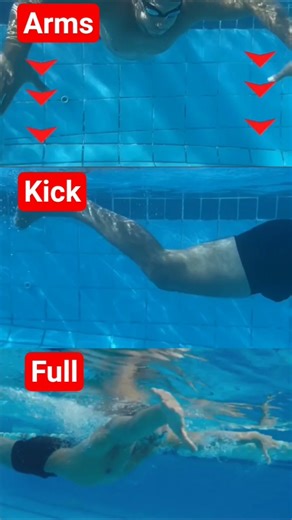 Frog Style Swimming Technique – Smooth Coordination That Saves Energy