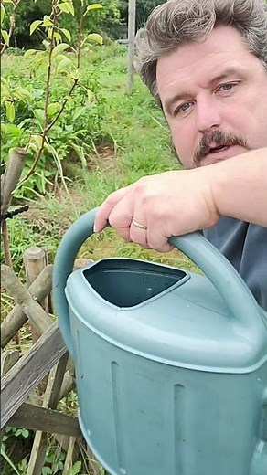 How to use a rain gauge