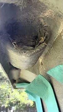 Aquatechnics Fiberglass Pool Review-Valentina