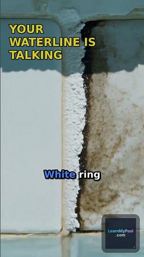 Your swimming pool scum line is telling you a story 👇
