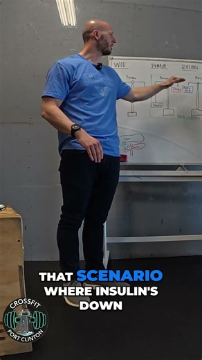 Insulin & Glucagon: The Switch to Burning Fat! #shorts