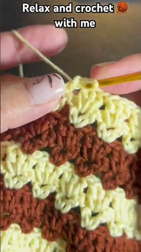 Shell 🐚 stitch for beginners #crochet #crochetpatterns #beginnersstitch #crochetprojects #handmade