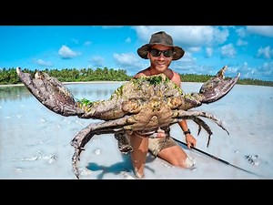 GIANT CRAB Barehanded Catch & Cook