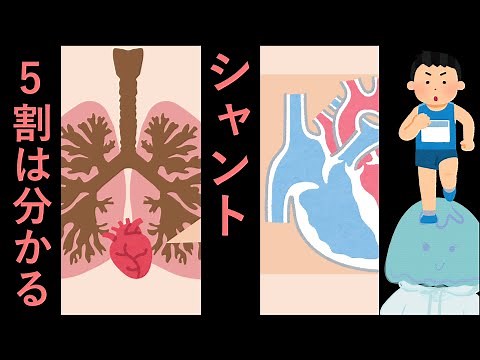 肺内？肺外？シャントについて分かる8分【呼吸療法／呼吸器】