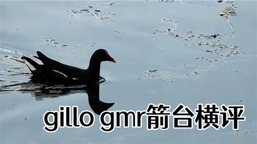GILLO GMR双模箭台横评