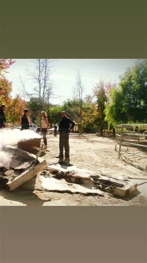 What did I have burning in the barrel? A. Rabbits B. Human remains C. Single socks | Sarah Halstead