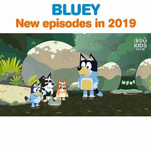 43K views · 1.3K reactions | Everyone’s favourite little Blue Heeler dog is back with all new episodes in 2019.  #ABCyours | ABC Kids Community | Facebook