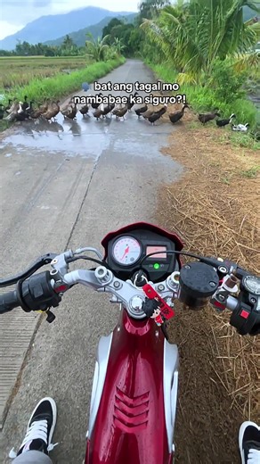 Navigating Heavy Traffic Challenges in Rainy Weather