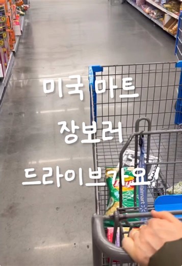 귀여운 레서판다와 함께하는 미국 드라이브