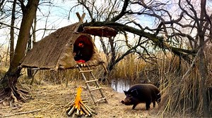 11K views · 203 reactions | Building a hanging tree shelter is a good strategy to hide from wild boars.#survival #adventure #wilderness #camping #bushcraftcamping​ #logcabin #cabin | Hukida y Javier | Facebook