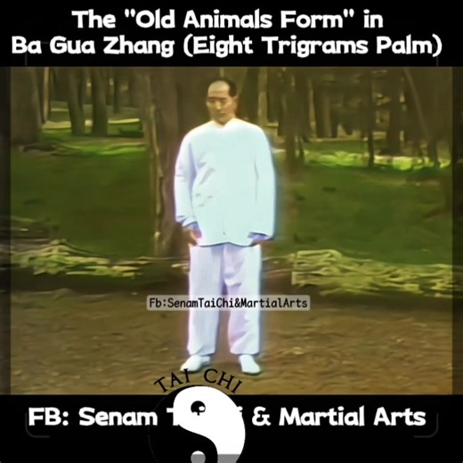☯️🌀Master George Xu demonstrates of Old Eight Animals Bagua Zhang Form🌀☯️ The "Old Animals form" (Ba Shou 八手) in Ba Gua Zhang (Eight Trigrams Palm) refers to the core set of eight foundational palm changes, each associated with an animal (Lion, Monkey, Rooster, Dragon, Phoenix, Snake, Bear, Qilin/Unicorn) and an / Ching trigram, that train fundamental body mechanics, intention (Yi), and spiraling energy through circular walking, with variations in hand shapes and body movements to express diff