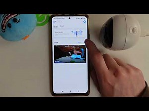 REOLINK Argus Pro - How To Enable & Disable Alarm Siren