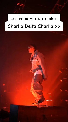 En concert c’est une masterclass ✨✨🕺🏽 #niska #pourtoi #rap #rapfr #rapfrancais #rappeurfrancais #rappeur #concert #concerts #concertmusic #niskaconcert #concertniska #niska_team #foryou