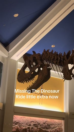 Missing The Dinosaur Ride little extra now. last week open, Disney World Animal Kingdom, Disney World. Not an Ad. #Dinosaur #Themepark #Florida #Disney #Disneyworld