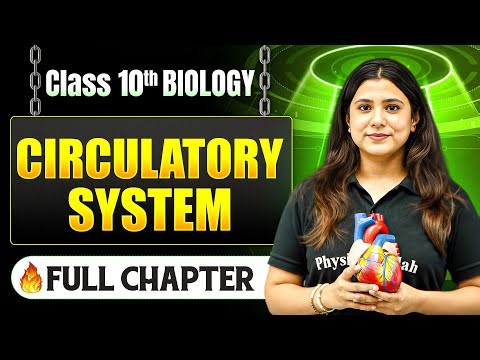 Circulatory System Complete Chapter in One Shot | Class 10 Biology | ICSE Board