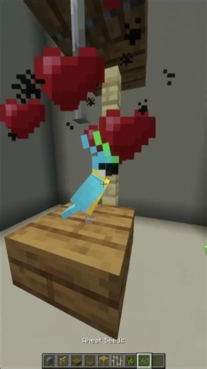 This tiny bird cage looks perfect 🐦