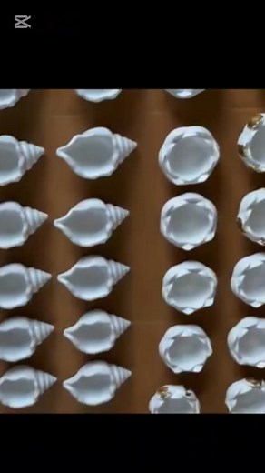 3.6K views · 29 reactions | Page - IPPA | IPPA | Facebook