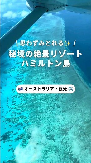 ラグジュアリーな休暇を過ごしたい方におすすめハミルトン島‎🤍 #オーストラリア #ハミルトン島 #海外旅行 #海外 #旅行 #絶景 #ラグジュアリー #大人 #観光 #おすすめ #newt