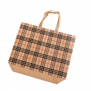 [Hot Item] Color Printing Advertising Laminated Heat Pressed Environmental Protection Tote Bag Nonwoven Bag