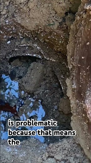 Septic Issues? Check Your Distribution Box!